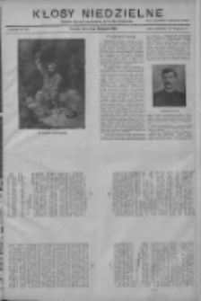 Kłosy Niedzielne: dodatek literacki i powieściowy do Nr261 "Orędownika" 1910.11.13