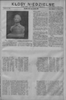 Kłosy Niedzielne: dodatek literacki i powieściowy do Nr278 "Orędownika" 1910.12.04