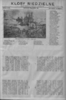 Kłosy Niedzielne: dodatek literacki i powieściowy do Nr289 "Orędownika" 1910.12.18