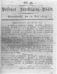 Posener Intelligenz Blatt. 1819.05.29 Nr43