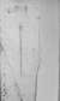 Kalendarzyk Polityczny Na Rok Przestępny i Przybyszowy 1788