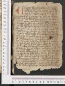 Sermones festivales et de sanctis