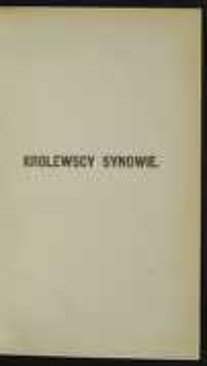 Królewscy synowie: powieść z czasów Władysława Hermana i Krzywoustego. T. 3