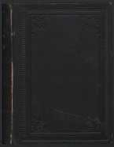 Męczennicy: obrazy życia współczesnego. Cz. 1, Na wysokościach. T. 2