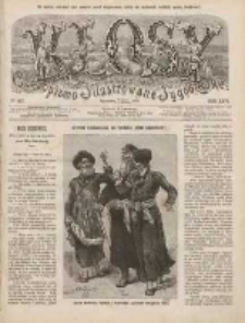 Kłosy: czasopismo ilustrowane, tygodniowe, poświęcone literaturze, nauce i sztuce 1878.03.30(04.11) T.26 Nr667
