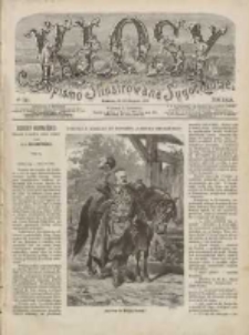 Kłosy: czasopismo ilustrowane, tygodniowe, poświęcone literaturze, nauce i sztuce 1879.08.16(28) T.29 Nr739