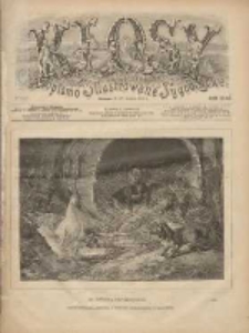 Kłosy: czasopismo ilustrowane, tygodniowe, poświęcone literaturze, nauce i sztuce 1888.12.15(27) T.47 Nr1226