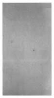 Repertorium über Pastorallehre und Casuistik in alphabetischer Ordnung für protestantische Geistliche. Bd.1 Abt.1