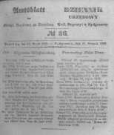 Amtsblatt der Königlichen Preussischen Regierung zu Bromberg. 1846.08.28 No.36
