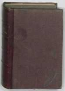 Pamiętniki nieznajomego. T.2