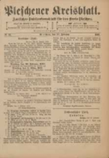 Pleschener Kreisblatt: Amtliches Publicationsblatt für den Kreis Pleschen 1901.02.13 Jg.49 Nr13