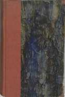 Biały książę: czasy Ludwika Węgierskiego. T.2