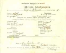 Świadectwo Józefa Kostrzewskiego z klasy IV gimnazjum w Gnieźnie