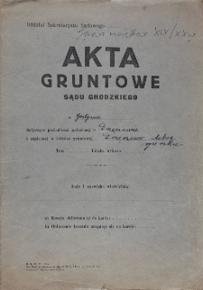 Akta gruntowe sądu grodzkiego w Gostyniu dotyczące posiadłości położonej w Drzęczewie i zapisanej w księdze gruntowej Drzęczewo dobra rycerskie