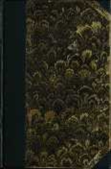 Pod Blachą: powieść z końca XVIII wieku. T. 1