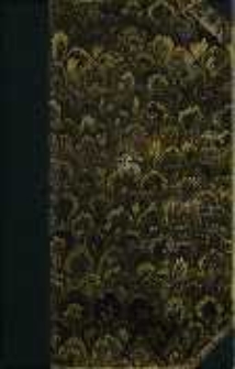 Pod Blachą: powieść z końca XVIII wieku. T. 2