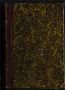 Zygmuntowskie czasy: powieść z roku 1572. T.2