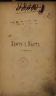 Złoto i błoto: powieść wsp&oacute;łczesna. T. 2