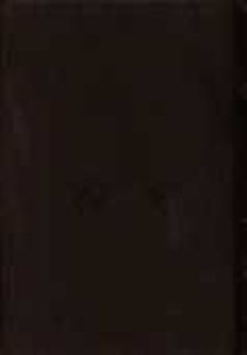 Ostrożnie z ogniem: powieść