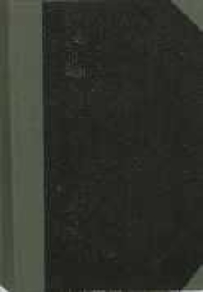 Bracia zmartwychwstańcy: powieść z czas&oacute;w Chrobrego. T.1