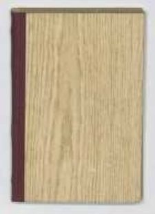 Bajbuza: (czasy Zygmunta III). T.3