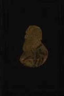 Sfinks: dokończenie; Ongi: powieść