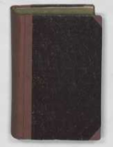 Za Sasów: (czasy Augusta II i Augusta III). T.2