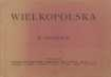 Wielkopolska w obrazach