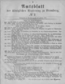 Amtsblatt der Königlichen Preussischen Regierung zu Bromberg. 1877.01.12 No.2