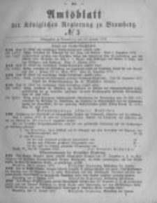 Amtsblatt der Königlichen Preussischen Regierung zu Bromberg. 1877.01.19 No.3