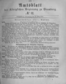 Amtsblatt der Königlichen Preussischen Regierung zu Bromberg. 1877.03.23 No.12