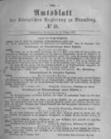 Amtsblatt der Königlichen Preussischen Regierung zu Bromberg. 1877.10.12 No.41