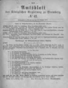 Amtsblatt der Königlichen Preussischen Regierung zu Bromberg. 1877.10.19 No.42