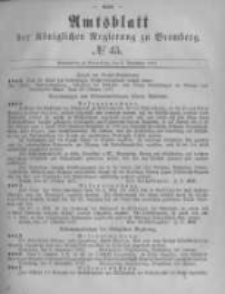 Amtsblatt der Königlichen Preussischen Regierung zu Bromberg. 1877.11.09 No.45