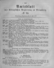 Amtsblatt der Königlichen Preussischen Regierung zu Bromberg. 1878.06.14 No.24