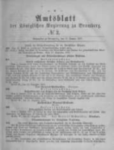 Amtsblatt der Königlichen Preussischen Regierung zu Bromberg. 1879.01.10 No.2