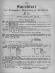 Amtsblatt der Königlichen Preussischen Regierung zu Bromberg. 1879.06.06 No.23