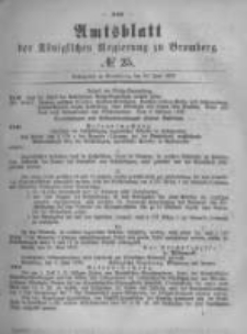 Amtsblatt der Königlichen Preussischen Regierung zu Bromberg. 1879.06.20 No.25
