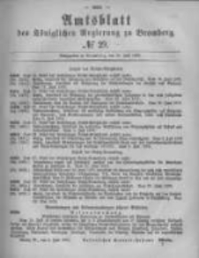 Amtsblatt der K&ouml;niglichen Preussischen Regierung zu Bromberg. 1879.07.18 No.29