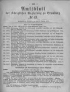 Amtsblatt der Königlichen Preussischen Regierung zu Bromberg. 1879.10.24 No.43