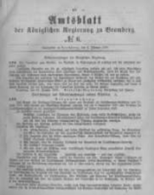 Amtsblatt der K&ouml;niglichen Preussischen Regierung zu Bromberg. 1880.02.06 No.6