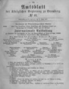 Amtsblatt der Königlichen Preussischen Regierung zu Bromberg. 1880.03.05 No.10
