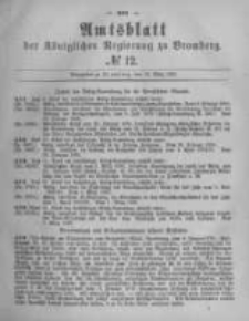 Amtsblatt der Königlichen Preussischen Regierung zu Bromberg. 1880.03.19 No.12