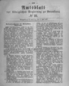 Amtsblatt der Königlichen Preussischen Regierung zu Bromberg. 1880.06.04 No.23