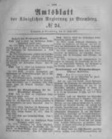 Amtsblatt der K&ouml;niglichen Preussischen Regierung zu Bromberg. 1880.06.11 No.24