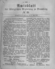 Amtsblatt der Königlichen Preussischen Regierung zu Bromberg. 1880.06.18 No.25