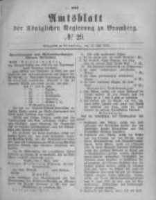 Amtsblatt der K&ouml;niglichen Preussischen Regierung zu Bromberg. 1880.07.16 No.29