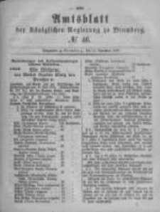 Amtsblatt der Königlichen Preussischen Regierung zu Bromberg. 1880.11.12 No.46