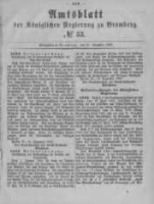 Amtsblatt der K&ouml;niglichen Preussischen Regierung zu Bromberg. 1880.12.31 No.53