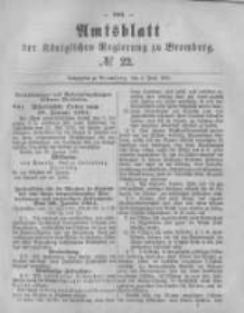 Amtsblatt der Königlichen Preussischen Regierung zu Bromberg. 1881.06.03 No.22